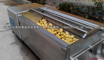 芋艿加工廠家 批發(fā)商 價(jià)格表