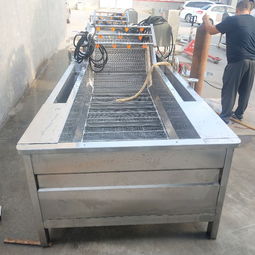 【果蔬清洗線、水產品清洗設備、土豆清洗設備、大棗清洗設備】- 